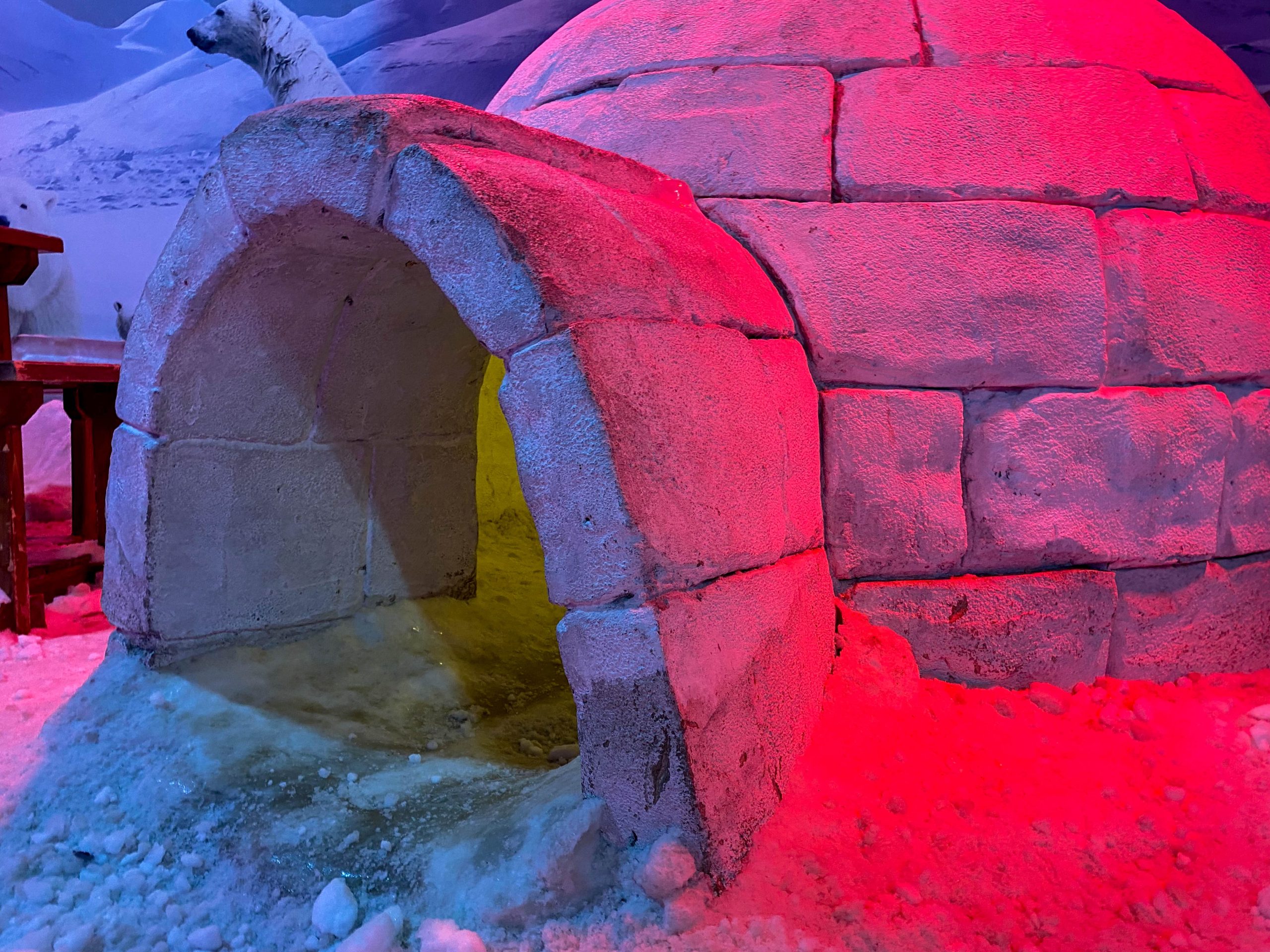 VA Loans for Igloos: Unlocking Your Alaskan Homeownership
